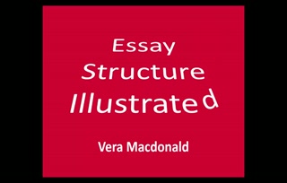 Essay Writing Illustrated